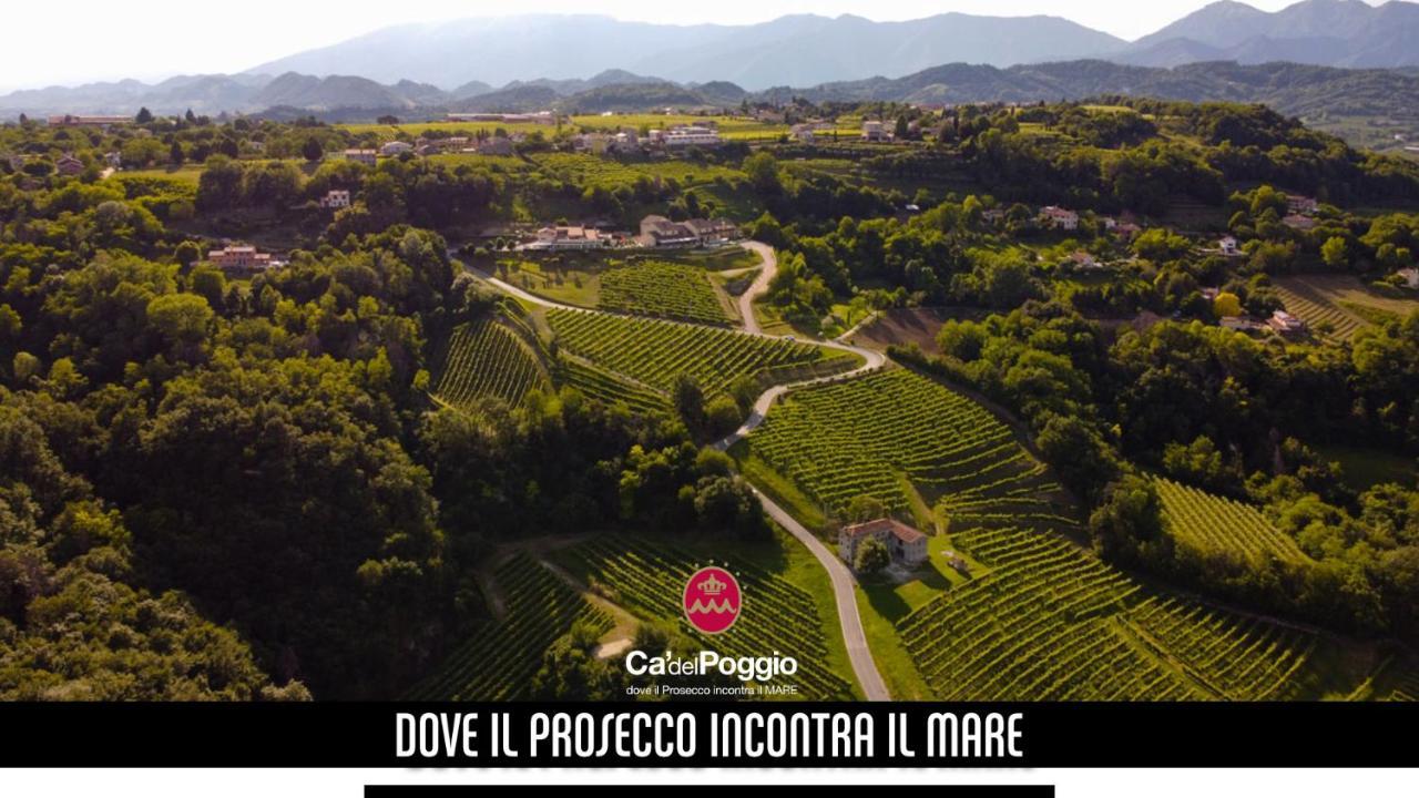 Villa Del Poggio Prosecco Bike Hotel San Pietro Di Feletto Eksteriør billede